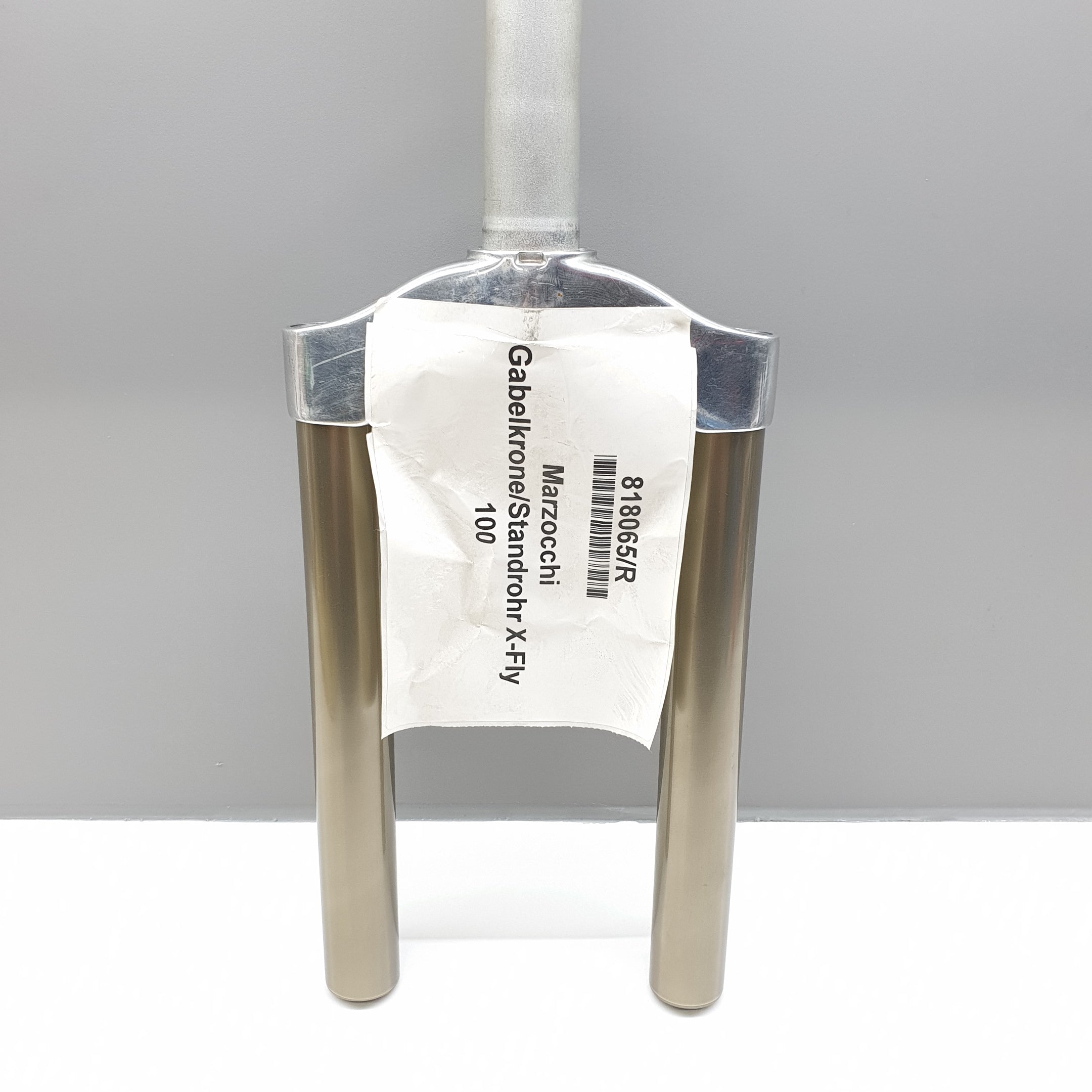 CSU Crown GR.CROC.D30-CANNE RIC.X-FLY'01 100mm - BSB Bicycle Suspension Berlin