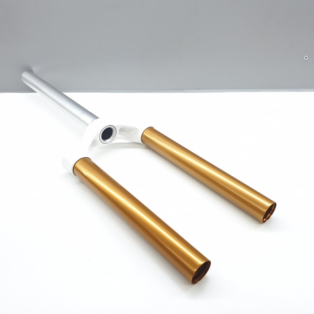 CSU XC 32GLD120/TS/ALSTR/GWHT/26IN/CORSA - BSB Bicycle Suspension Berlin