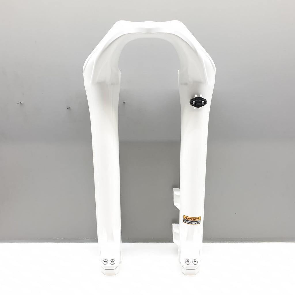 LOWER LEG DH 38/200/20TA/26IN GWHT 888 - BSB Bicycle Suspension Berlin