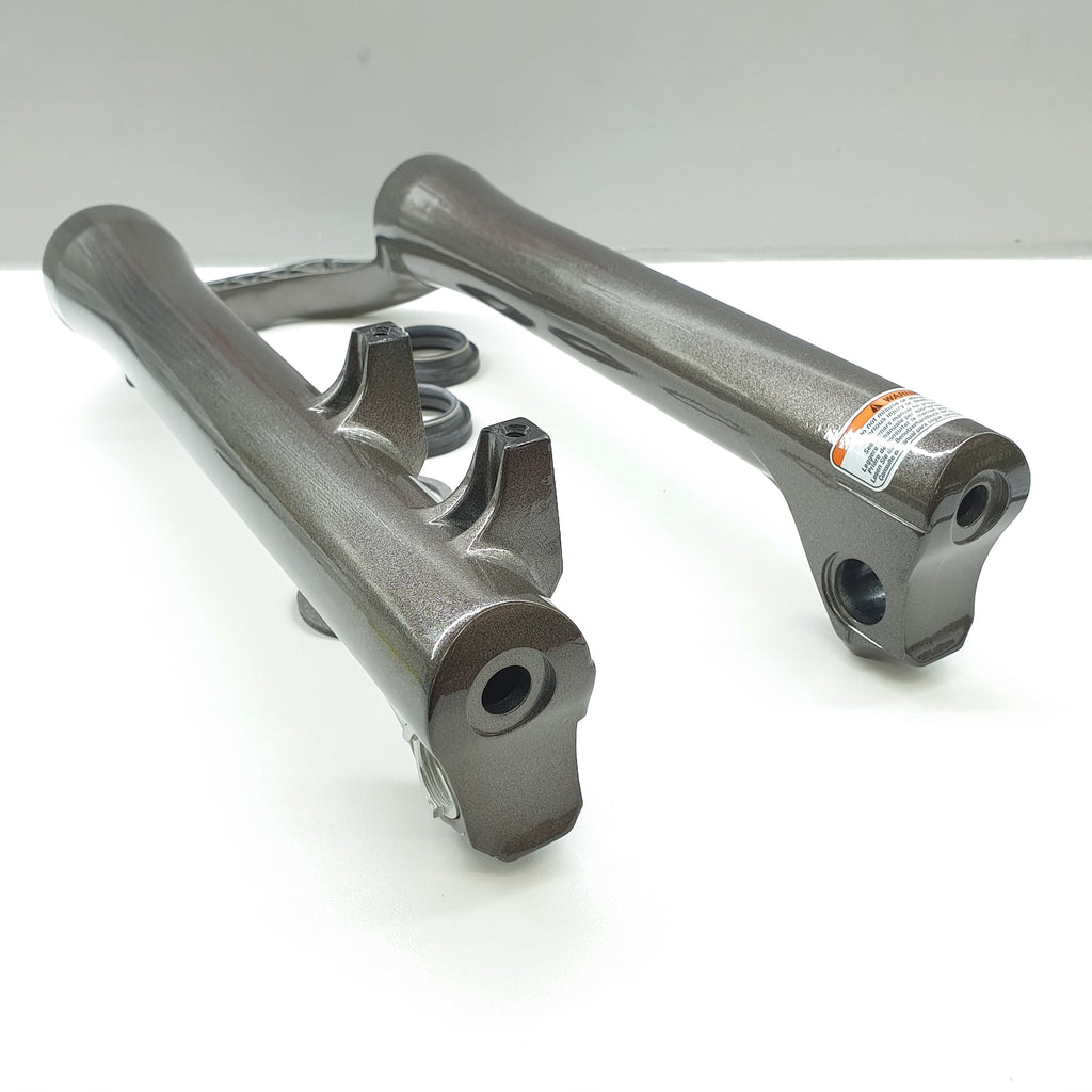 LOWER LEG DH 38/180/20QR/26IN TGRY 66 - BSB Bicycle Suspension Berlin
